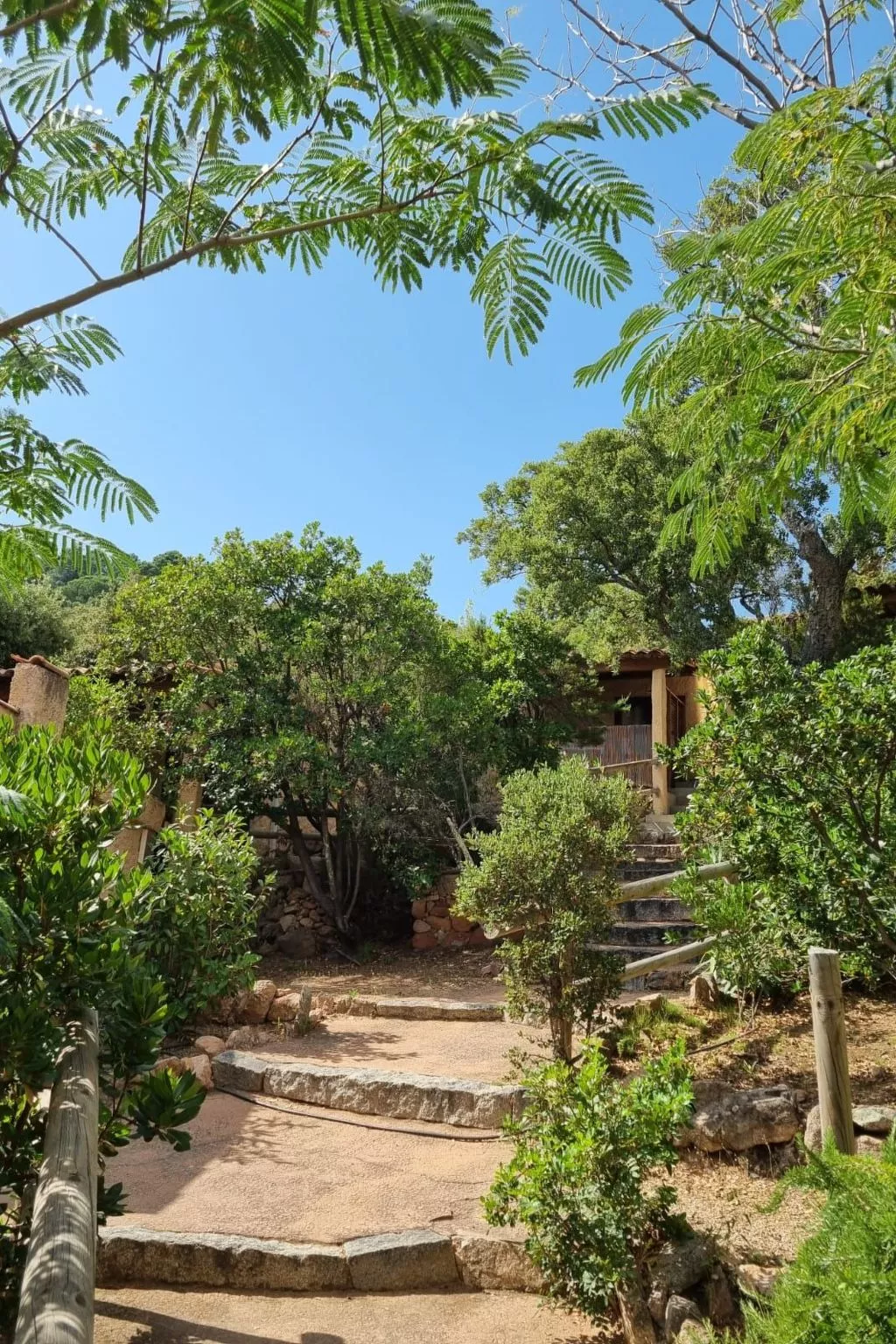 Klimatisiertes Apartment Maquis - Image-tags.info