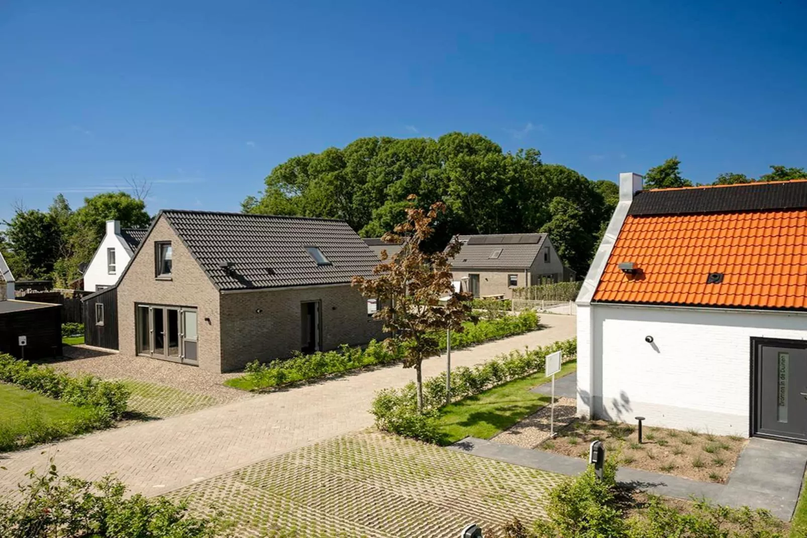 Dromen in de duinen - 51 - Buitenkant zomer