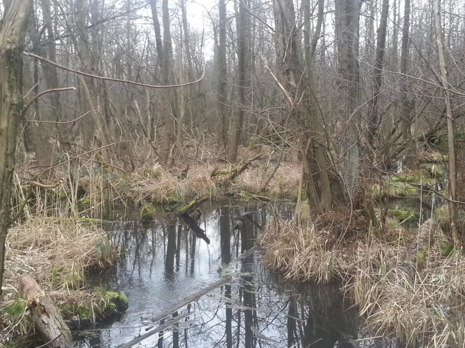 Feienhaus Gregor - Buiten