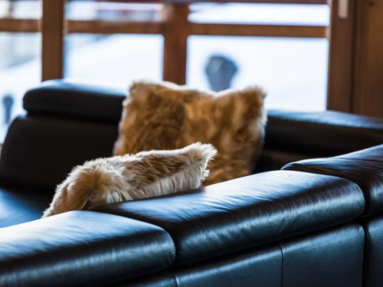 Cordée 3 - Spa access - Binnen