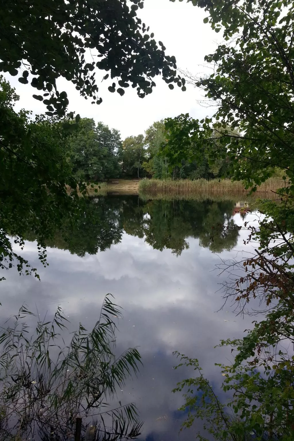 Feienhaus Gregor - Buiten