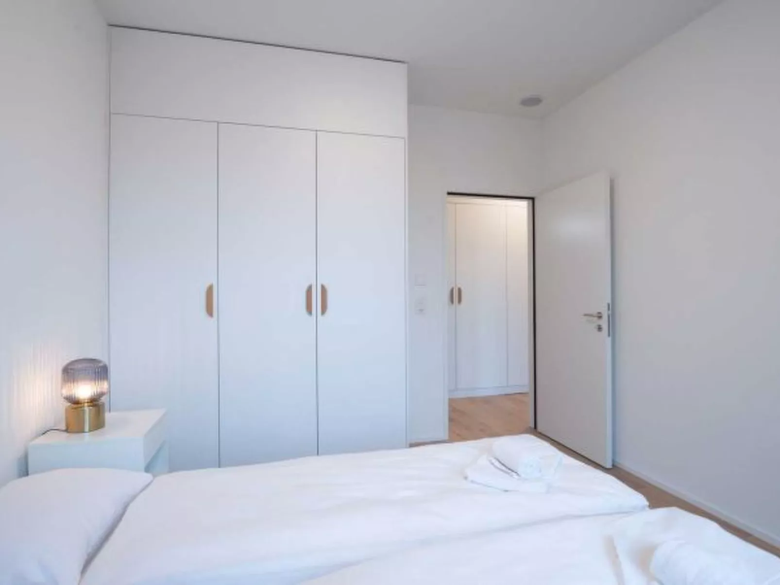 ZH Green 4 - Letzigrund HITrental Apartment - Binnen