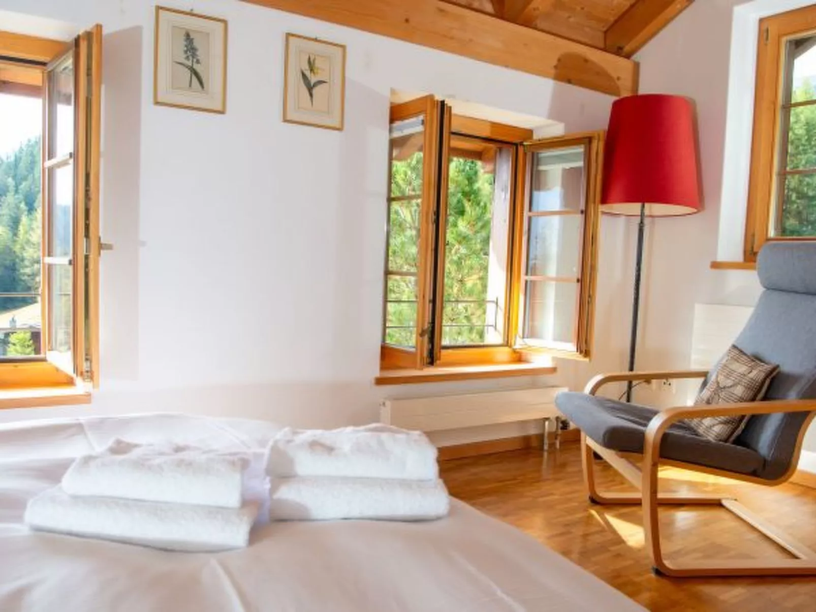 Ski in & Ski out Alphütte-Maiensäss Acla Pala Lenzerheide - Binnen