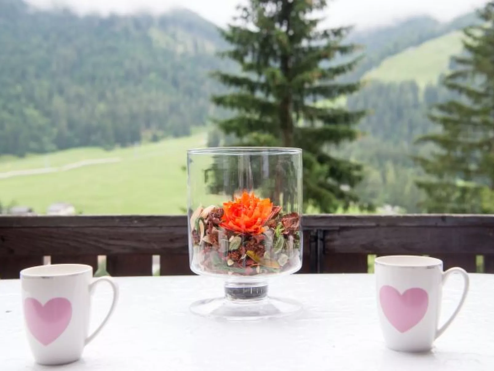 Haus Joch Churwalden - Buiten