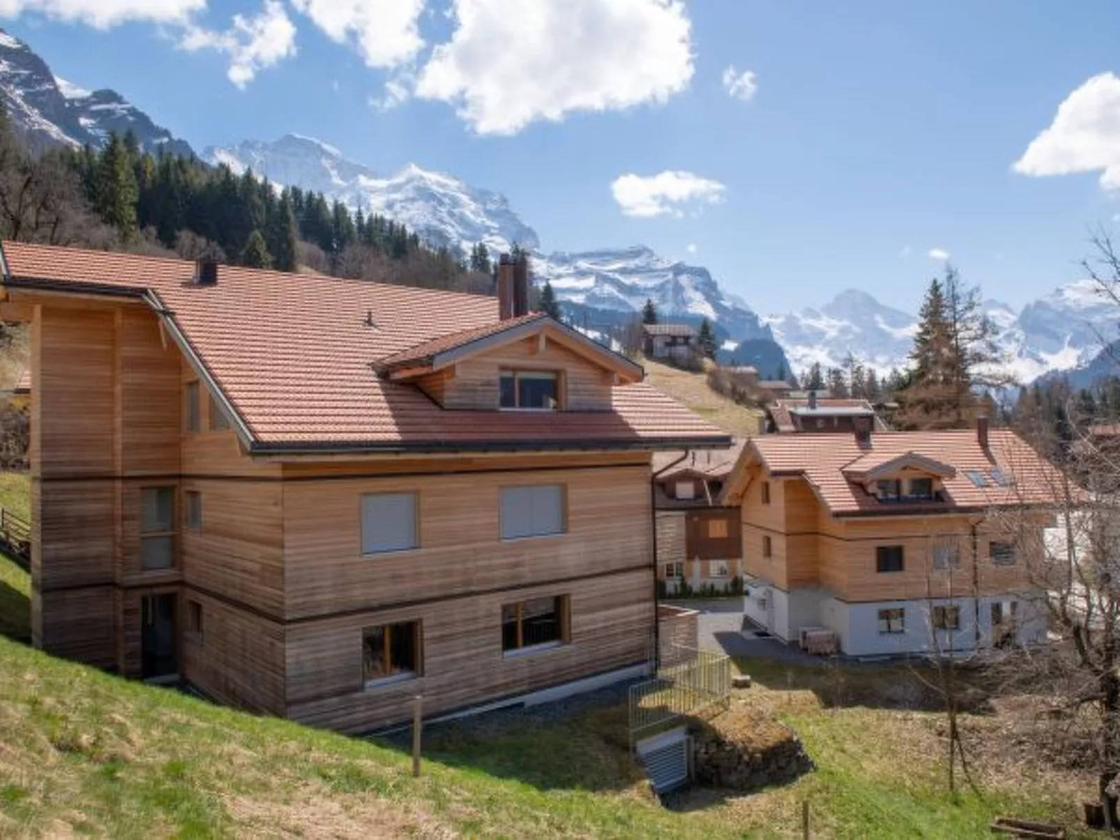 Chalet Mönchsbüffel - Buiten