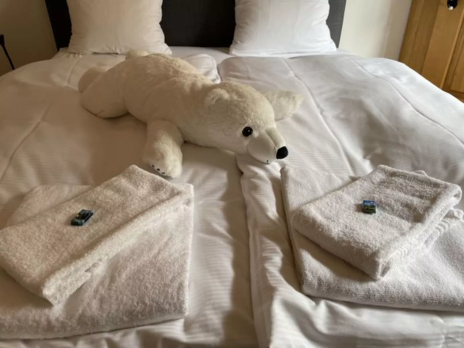 Appartement Nendaz Chardon Bleu - Binnen