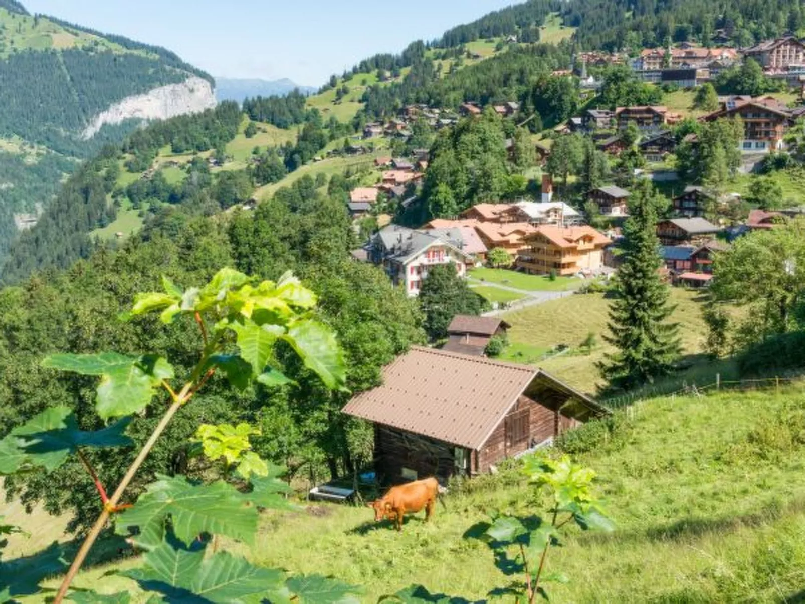 Panoramapark Soleil Bietenhorn - Buiten