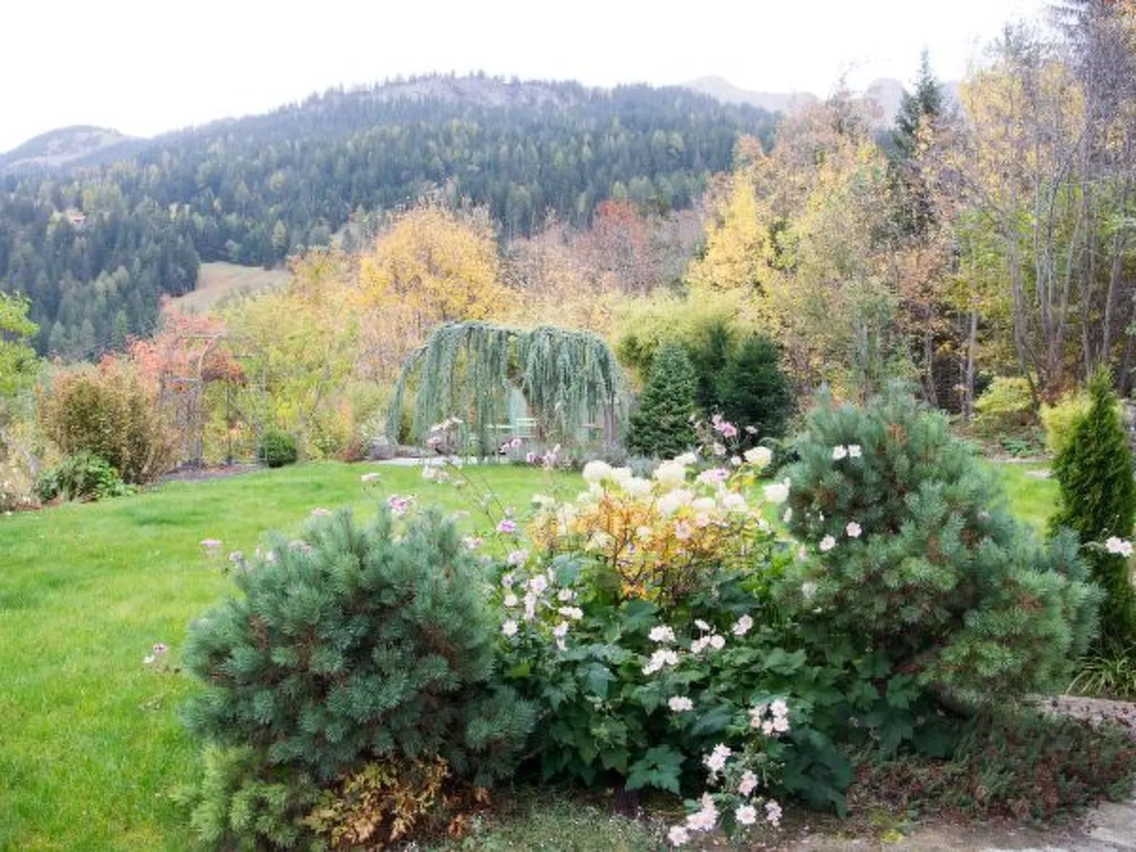 Familienunterkunft Furnerschhus Churwalden für 4 Personen - Buiten