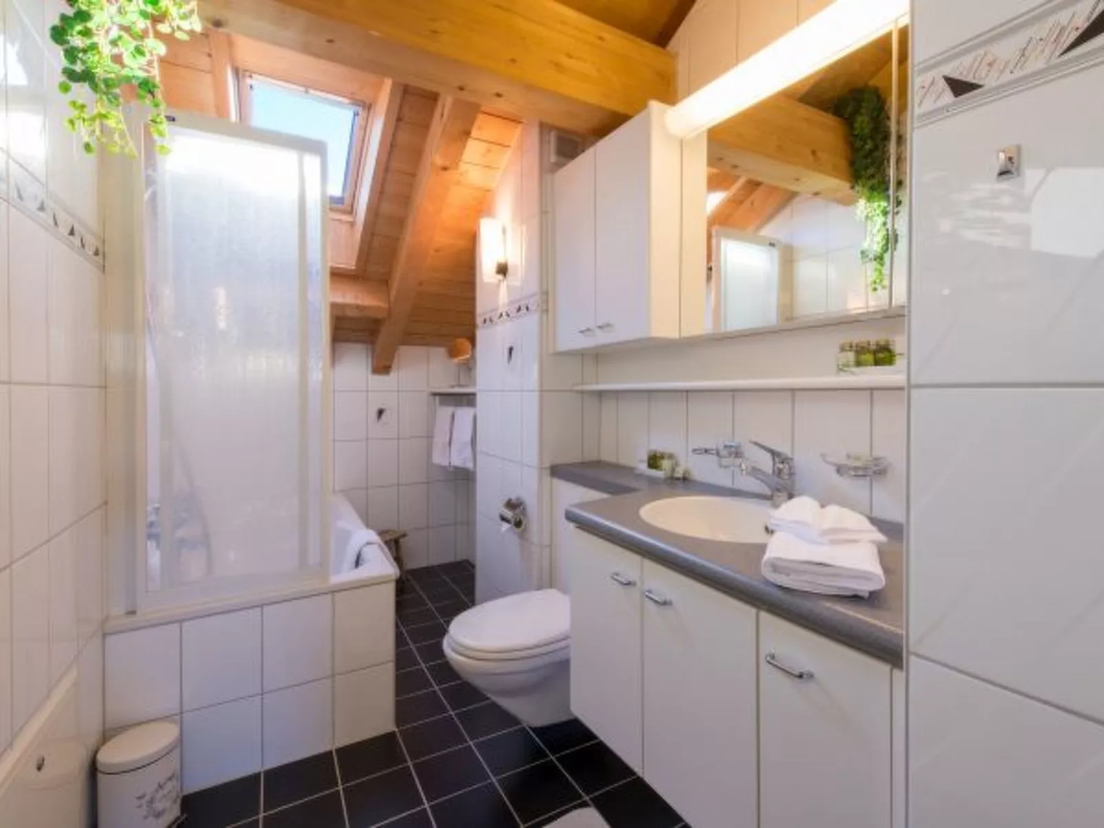 Chalet Rose Penthouse Residence - Binnen