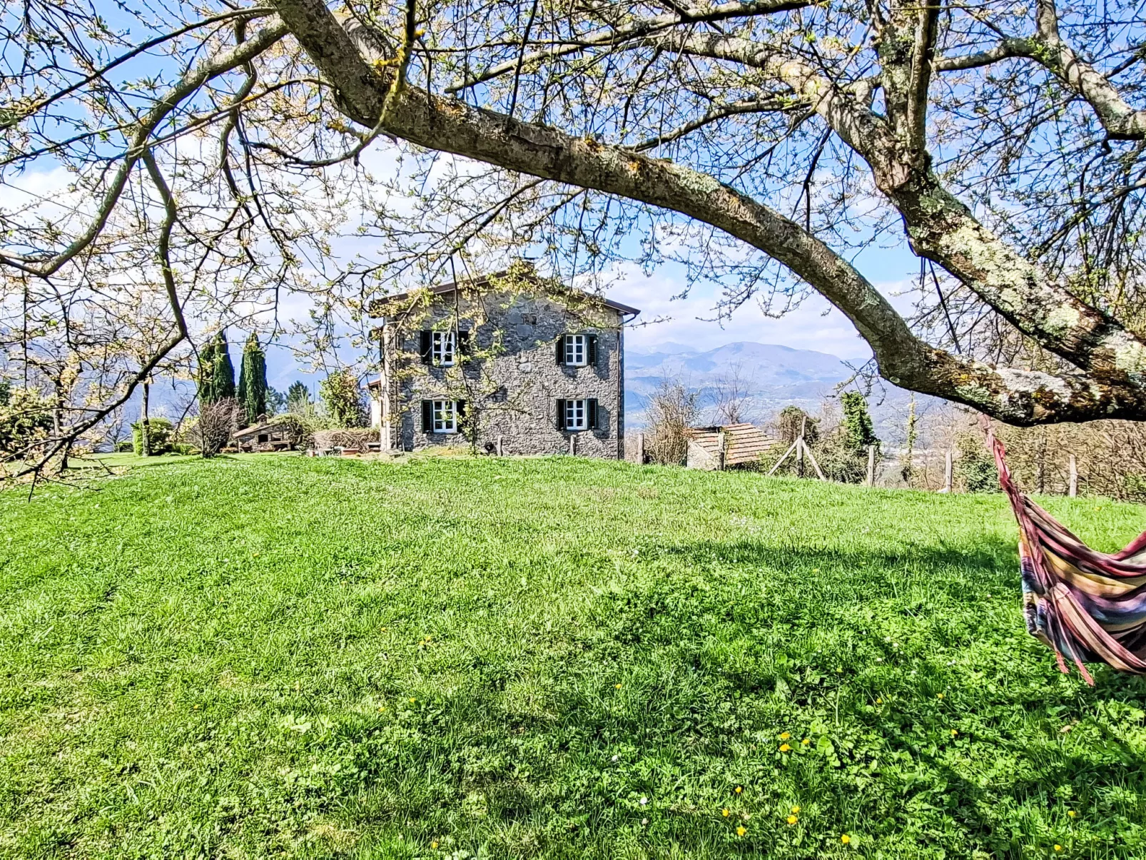 Il Colle di Tiglio - Buiten