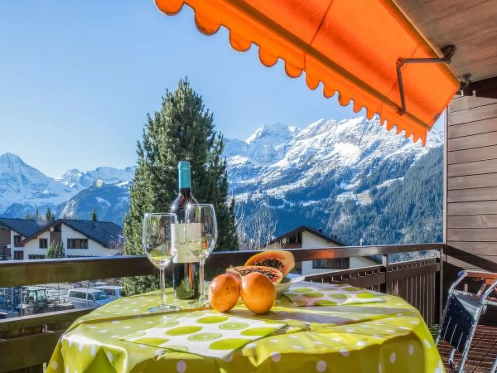 Chalet Rustica - Buiten