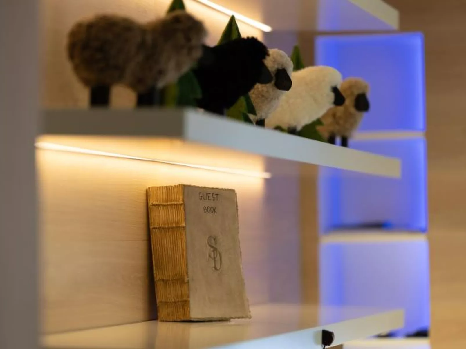 Ecluses 7 - Nendaz centre & close to ski lift - Binnen