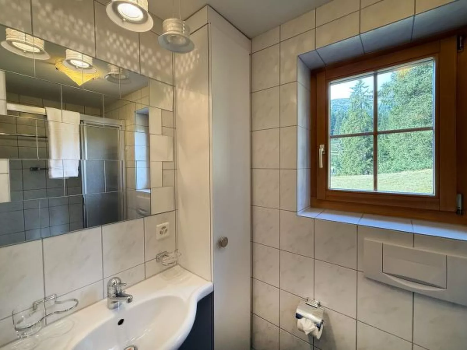 Ski in & Ski out Alphütte-Maiensäss Acla Pala Lenzerheide - Binnen