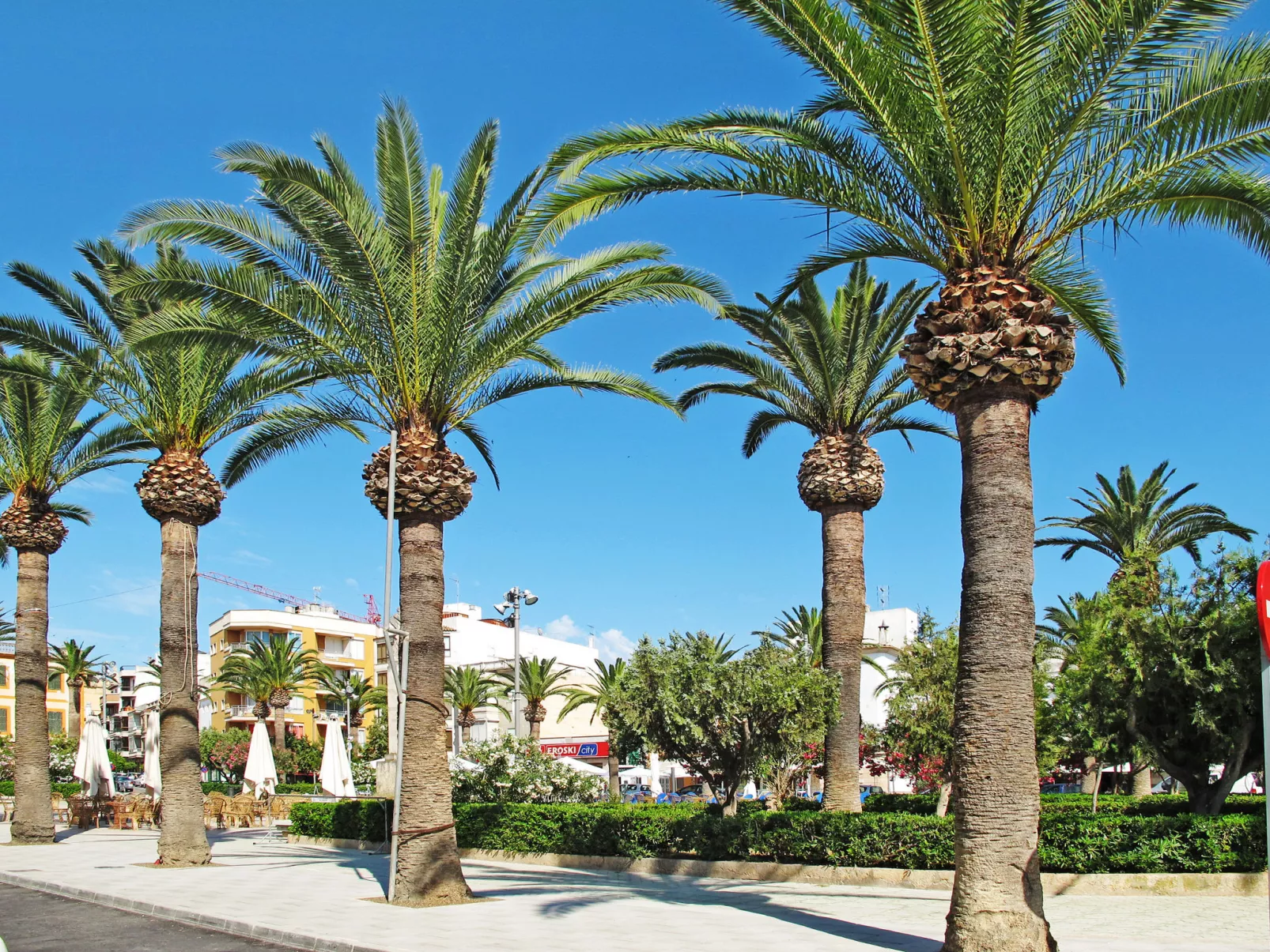 Moli den Cavea - Omgeving