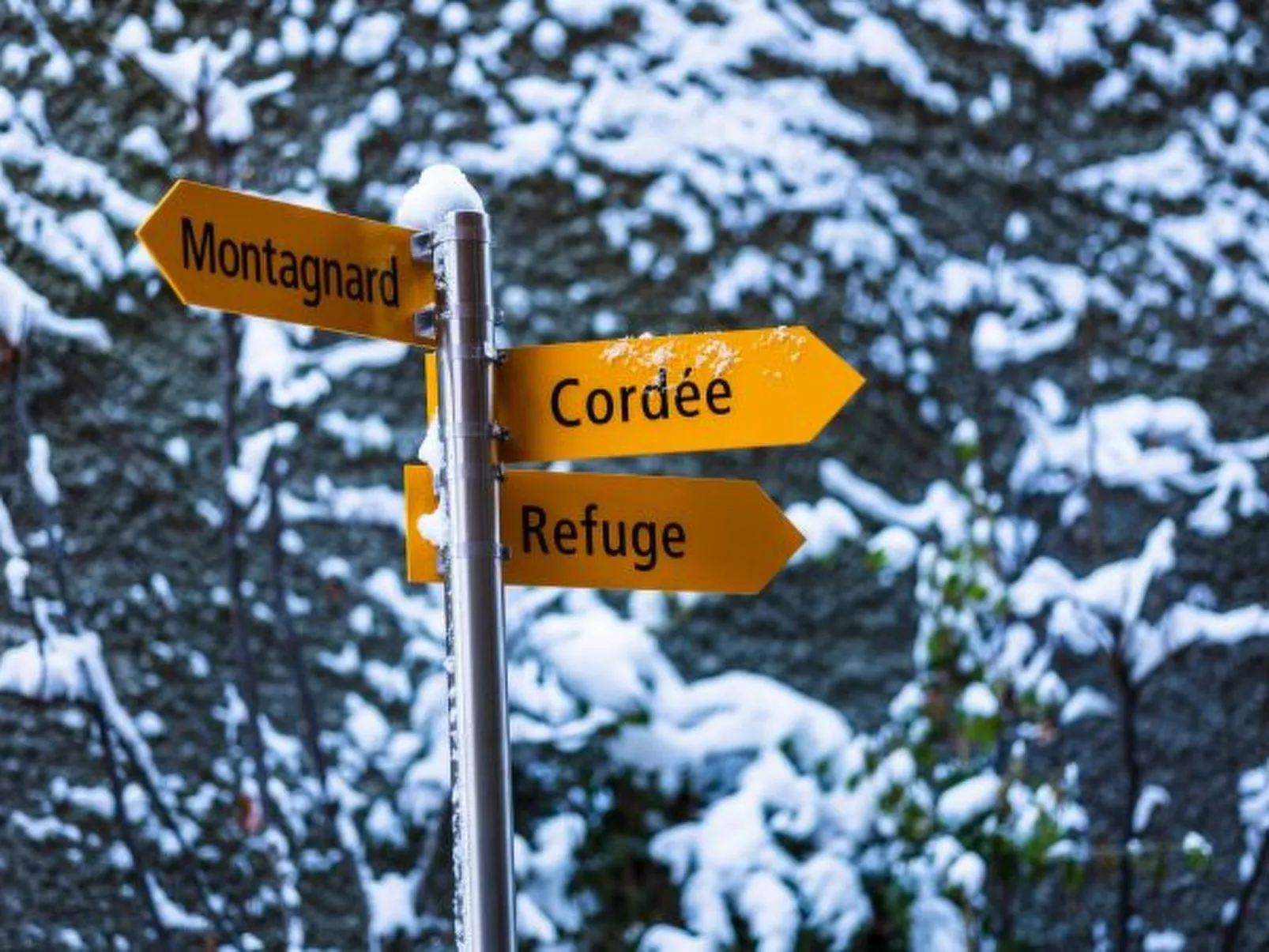 Cordée 3 - Spa access - Buiten