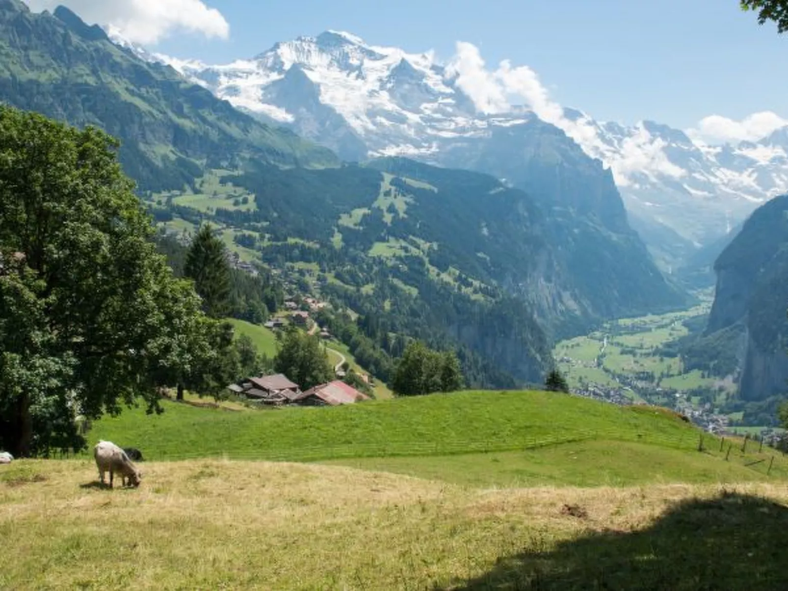 Chalet Hunnenfluh - Buiten