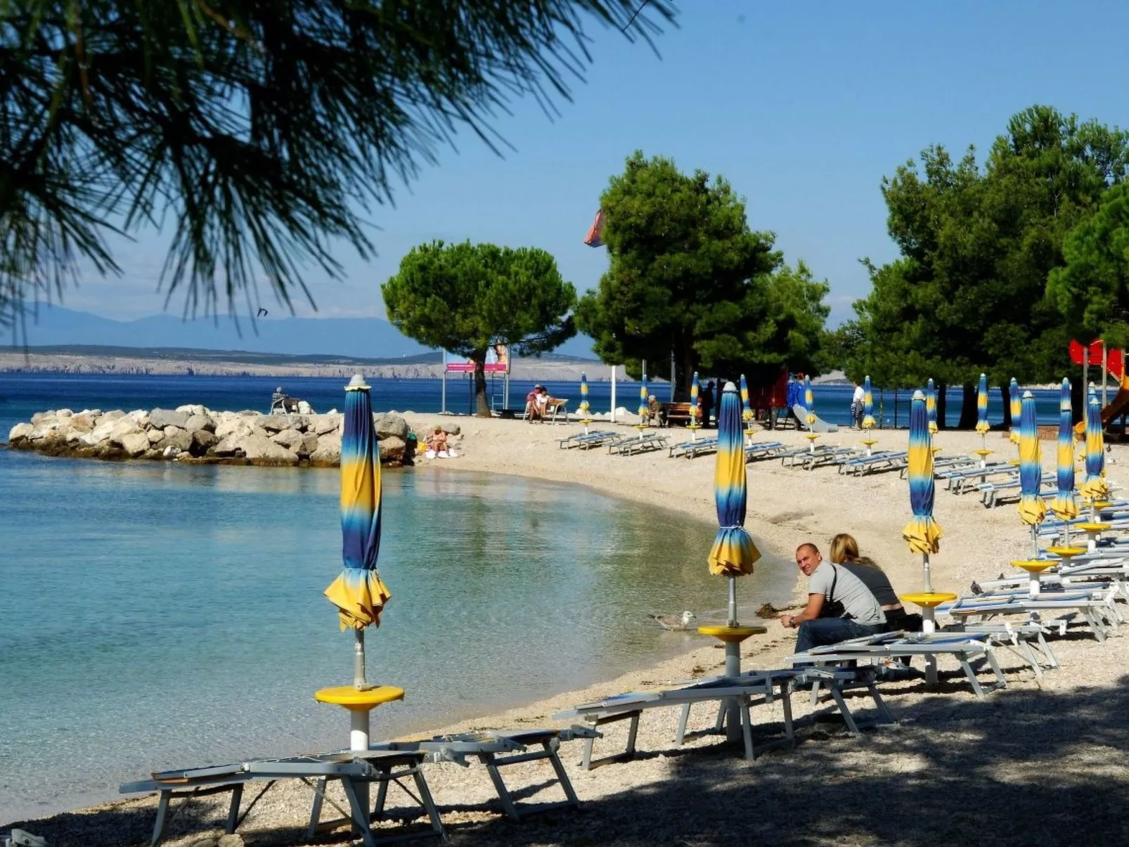 Vladimir - Image-tags.info