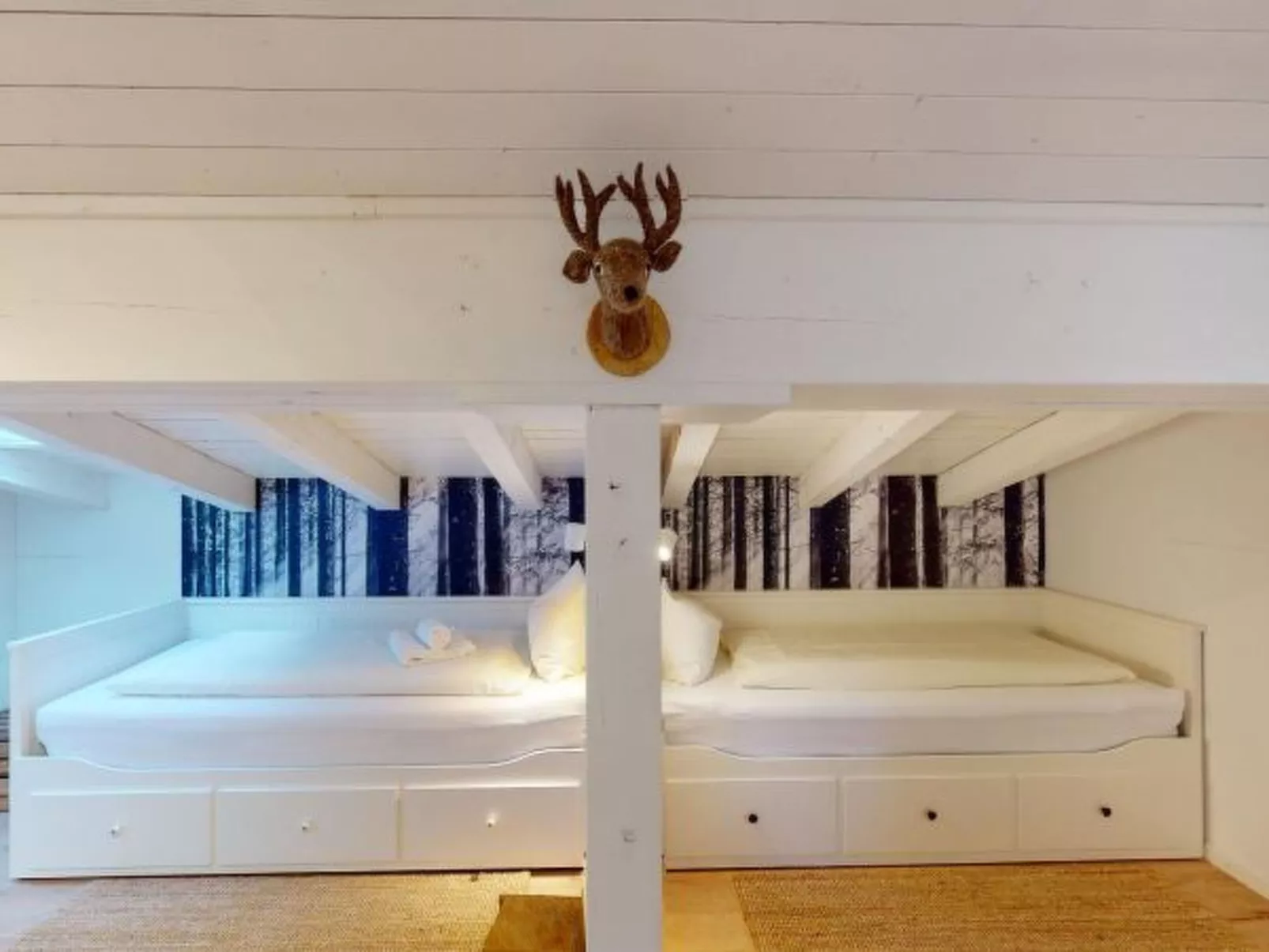 Luscheina in Valbella Ski-in/Ski-out - Binnen