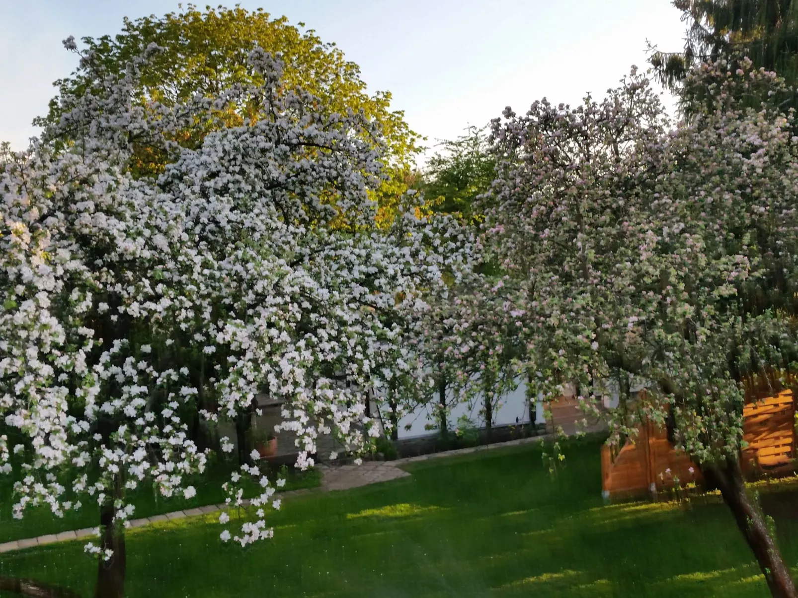 Feienhaus Gregor - Buiten