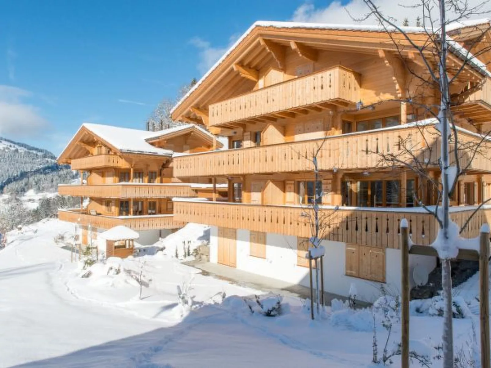 Panoramapark Soleil Bietenhorn Garden Apartment - Buiten