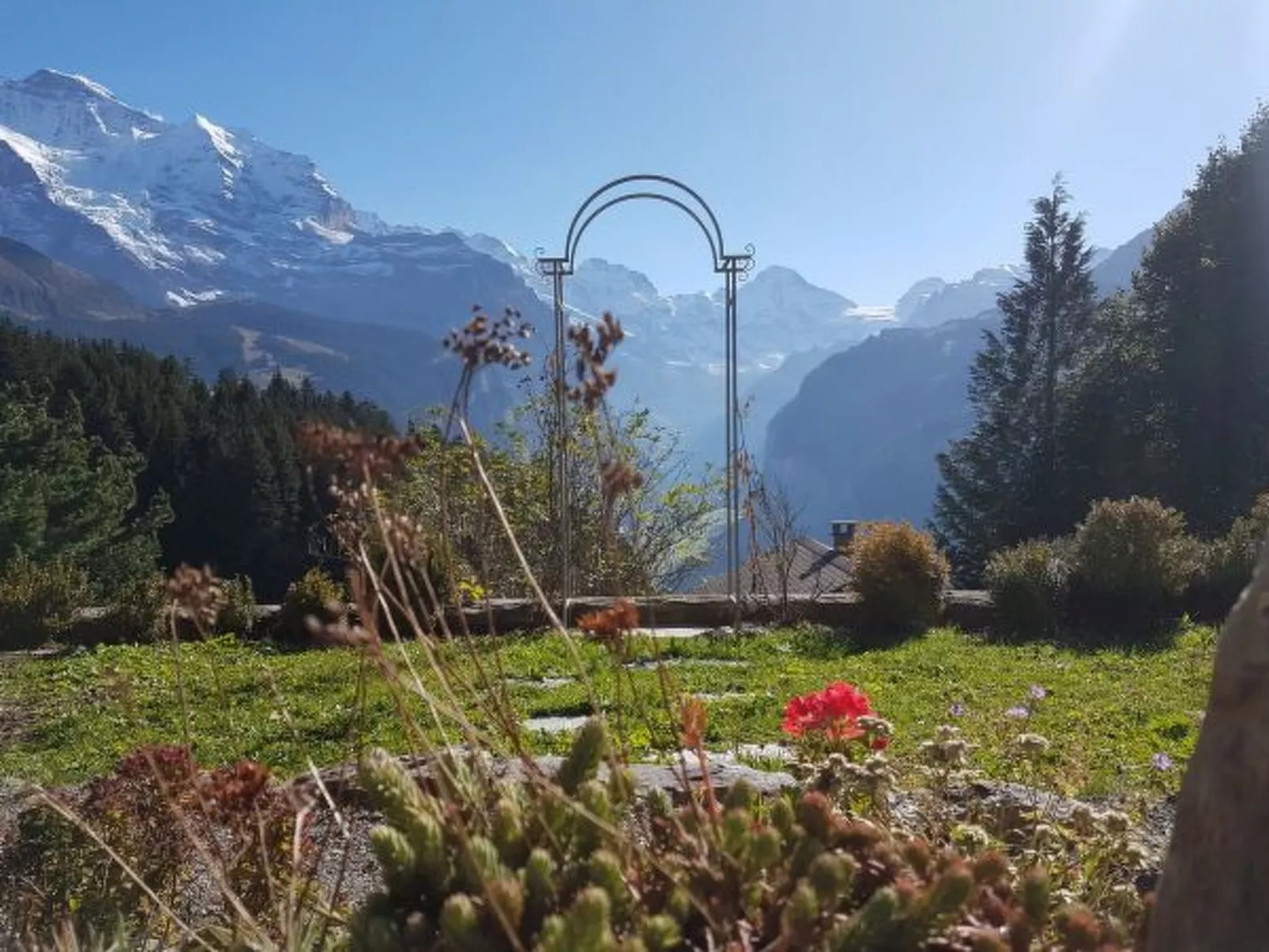 Chalet Ledibach - Buiten