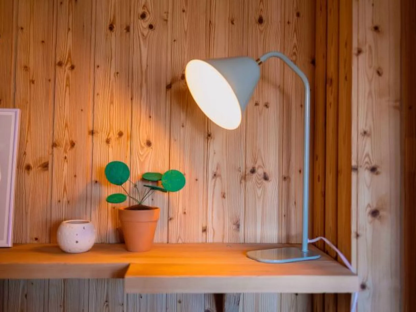 Chalet La Chenevière - Binnen