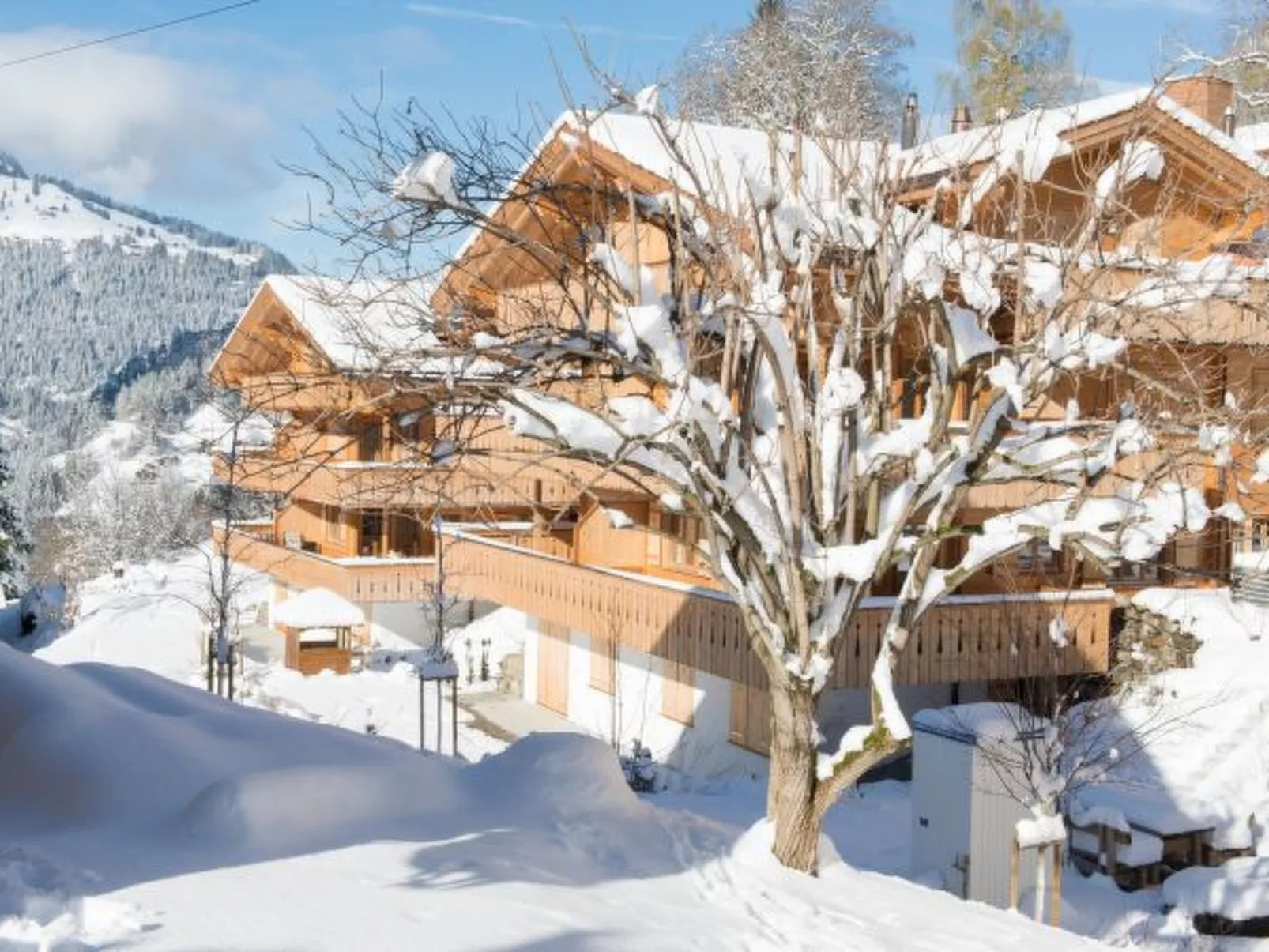 Panoramapark Soleil Camelia Apt. Akroyd - Buiten