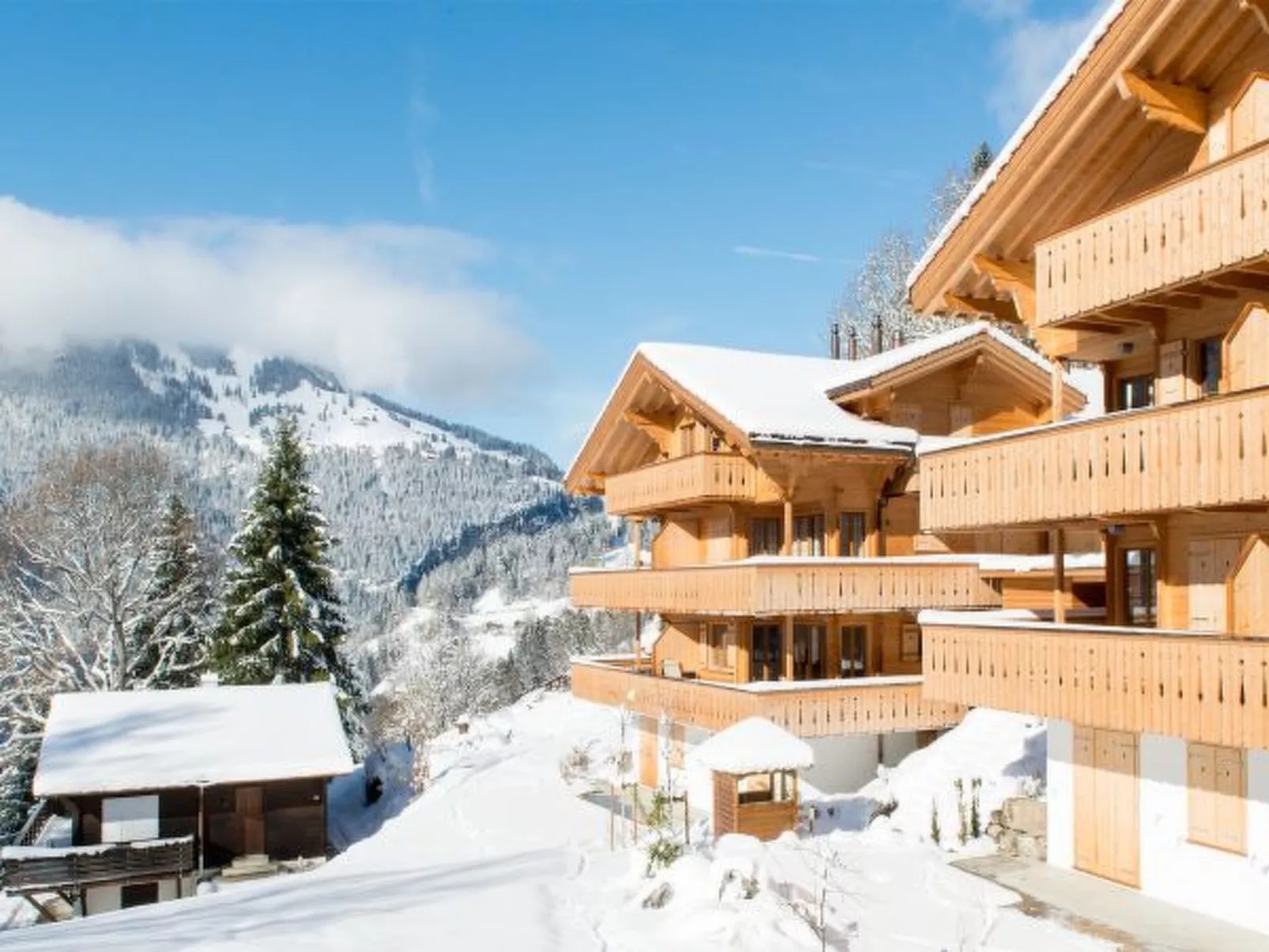 Panoramapark Soleil Alpenaster - Buiten