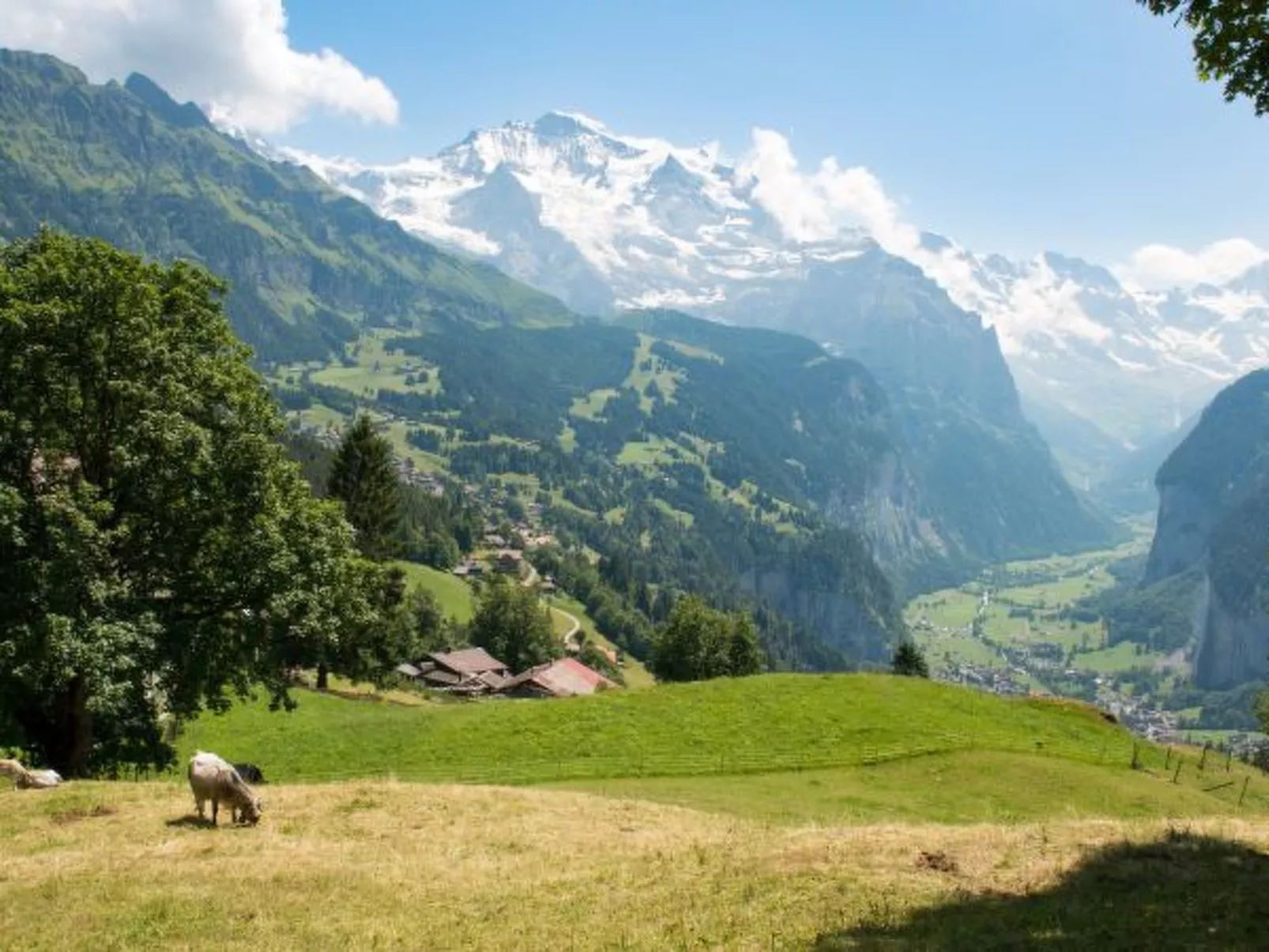 Chalet Hunnenfluh Garden Apartment - Buiten