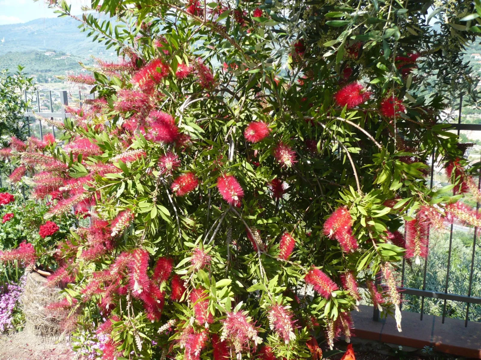 Cottage 'Red 5' mit Blick aufs Wasser - Image-tags.info