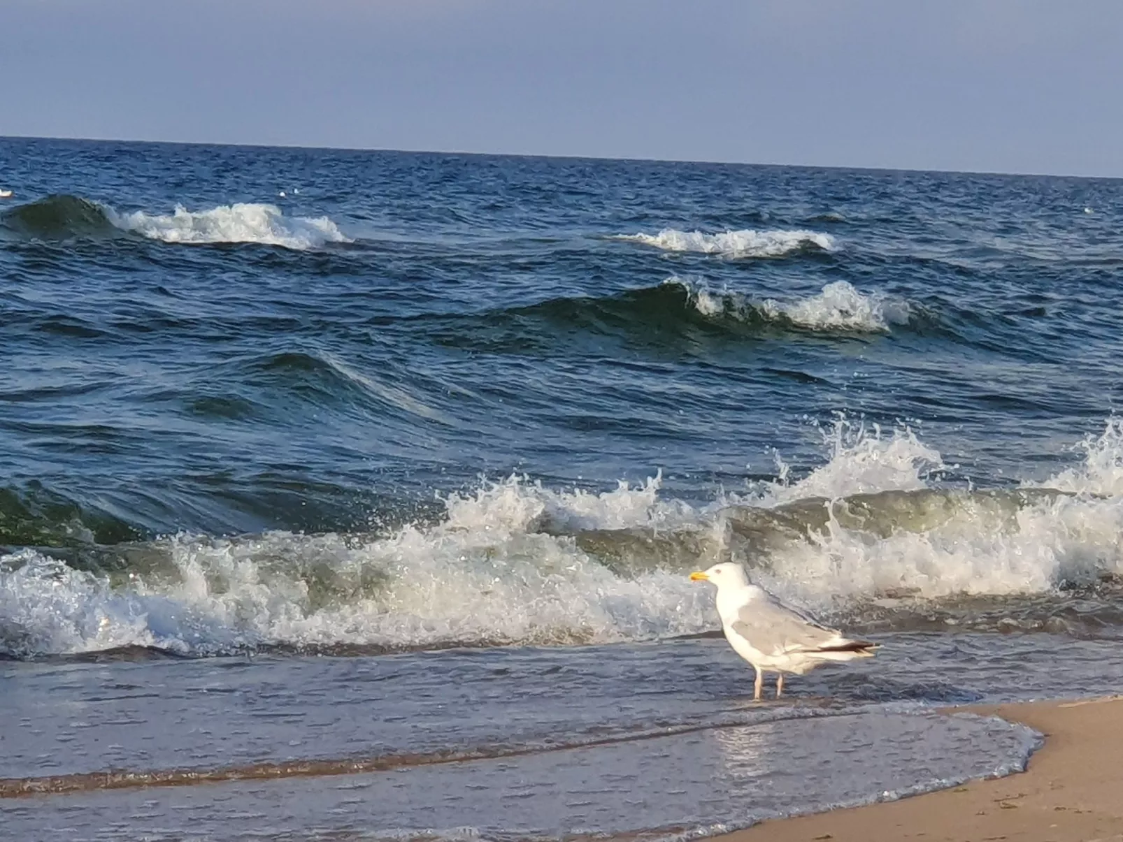 "Ferienwohnung" mitten im Grünen - Buiten