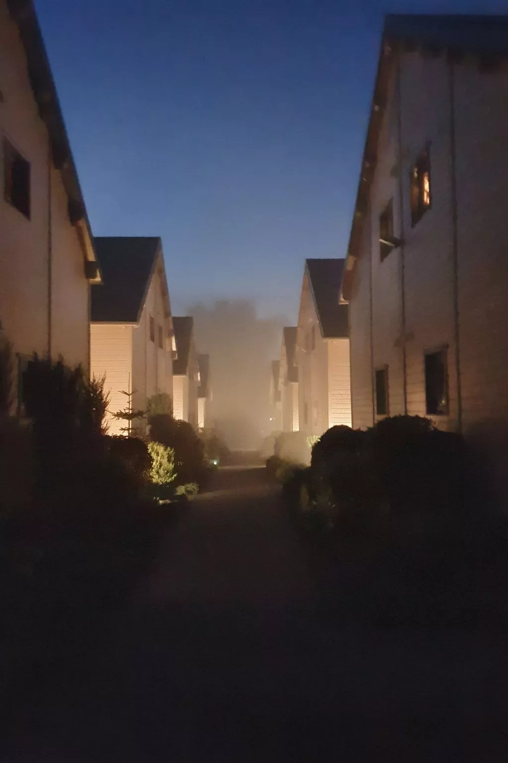 "Ferienwohnung" mitten im Grünen - Buiten