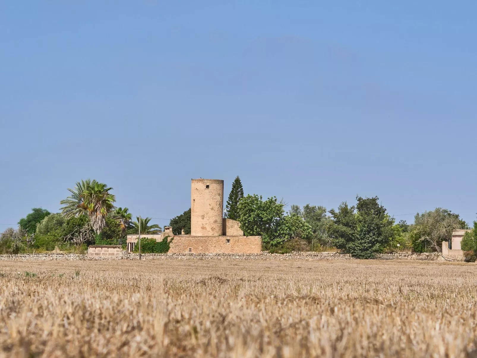 Moli den Cavea - Image-tags.info