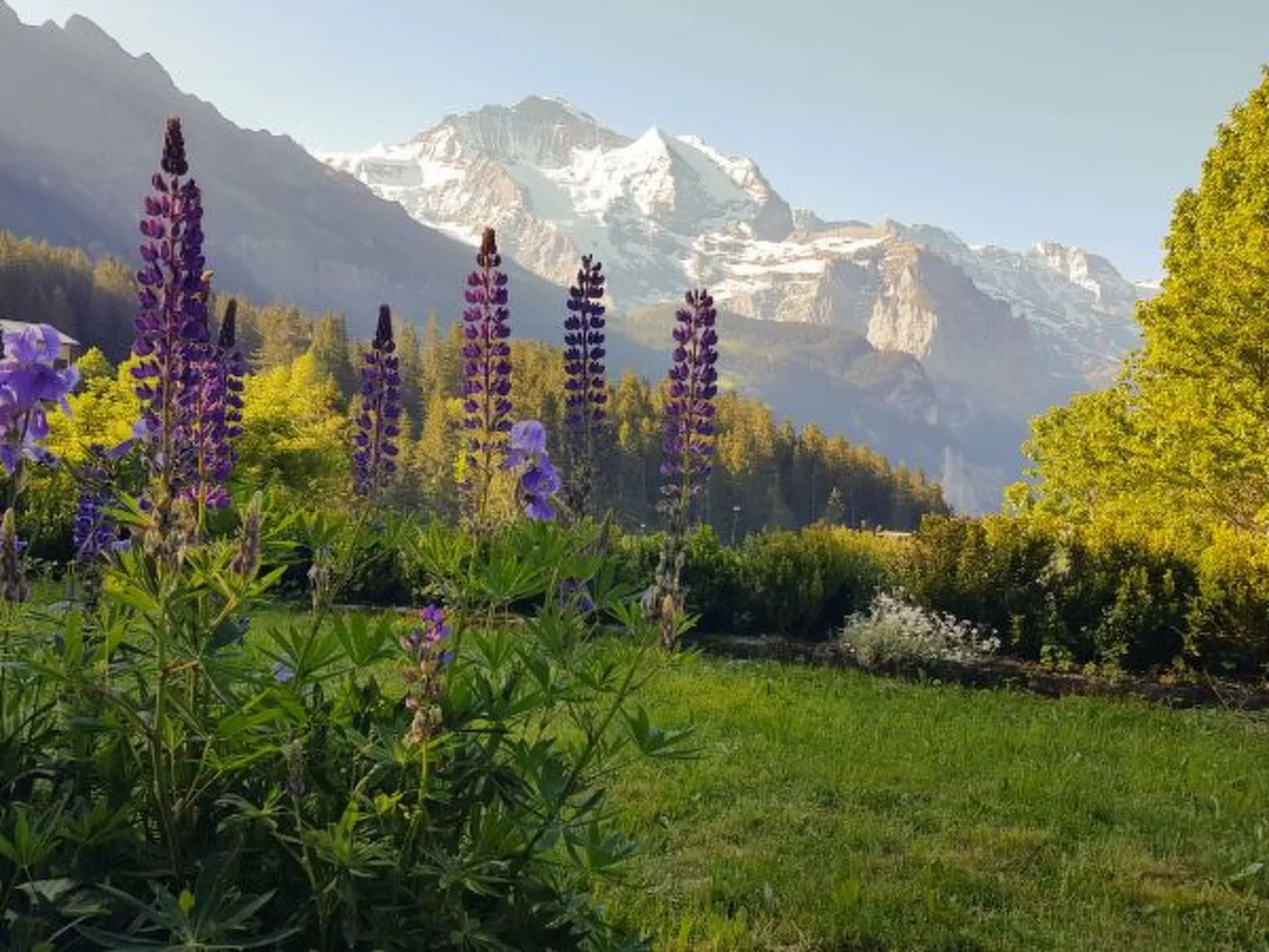 Chalet Ledibach - Buiten