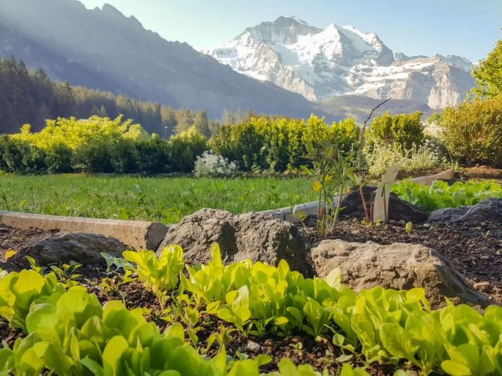 Chalet Ledibach - Buiten