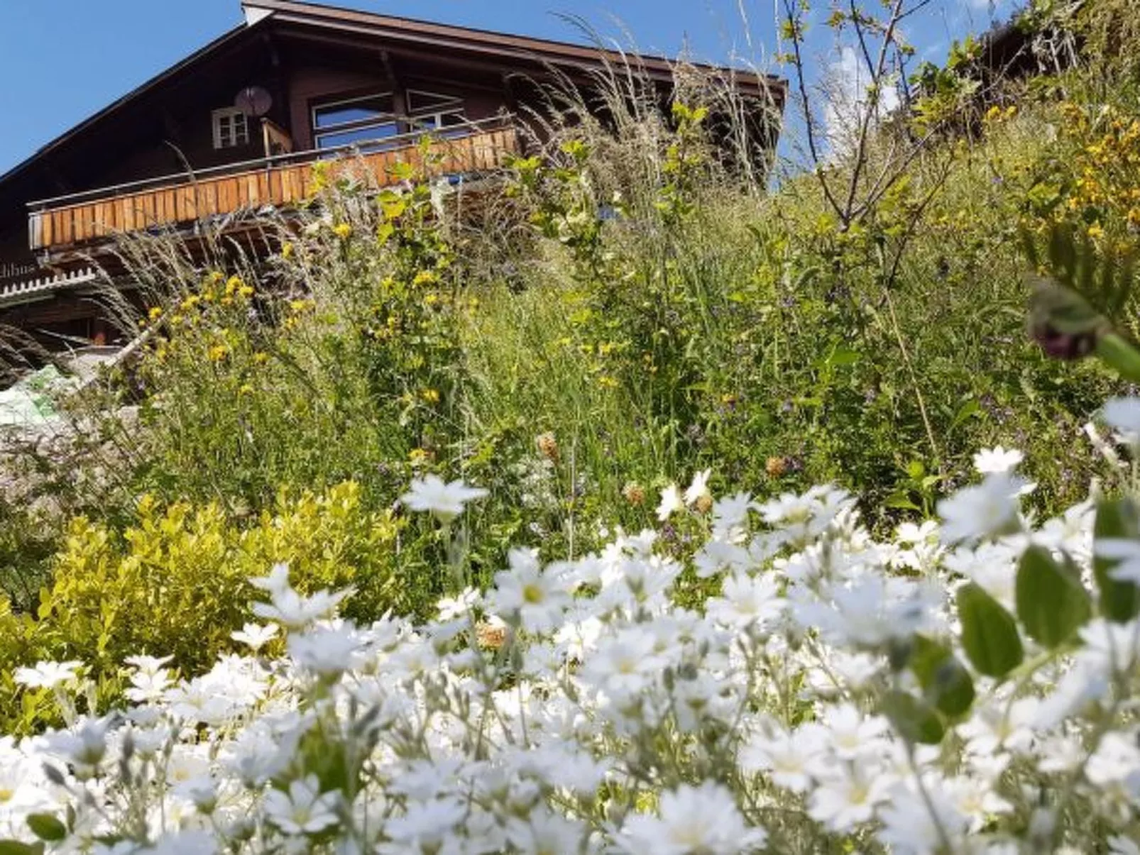 Chalet Ledibach - Buiten