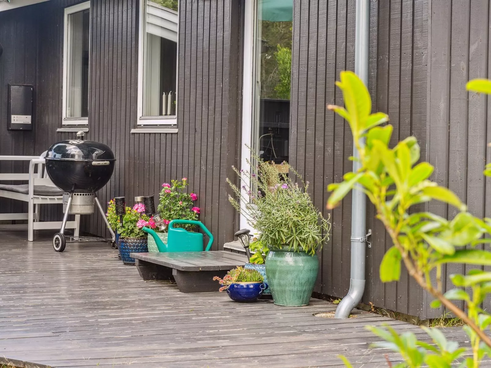 "Margit" - 10m from the sea