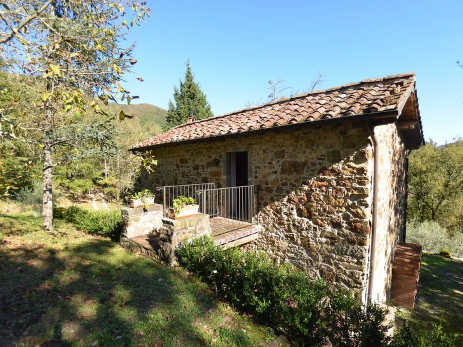 Vignoli