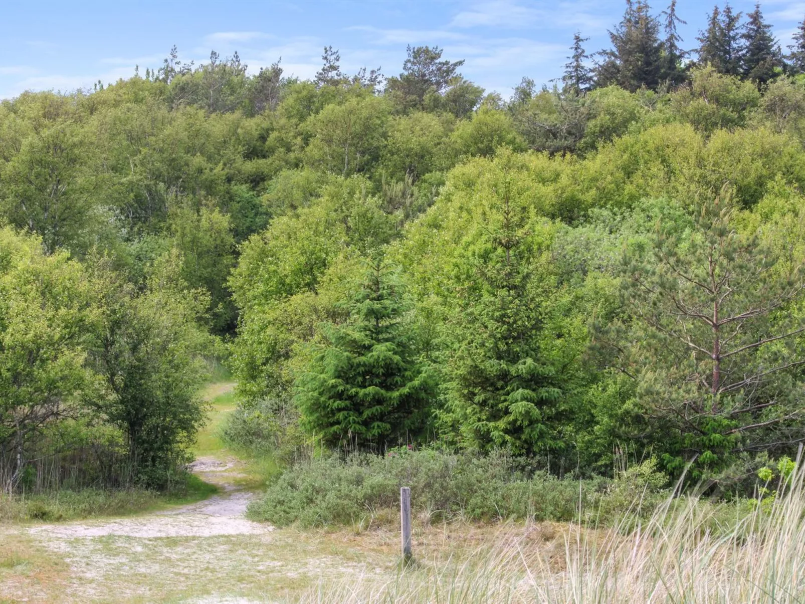 "Ingalise" - 500m from the sea