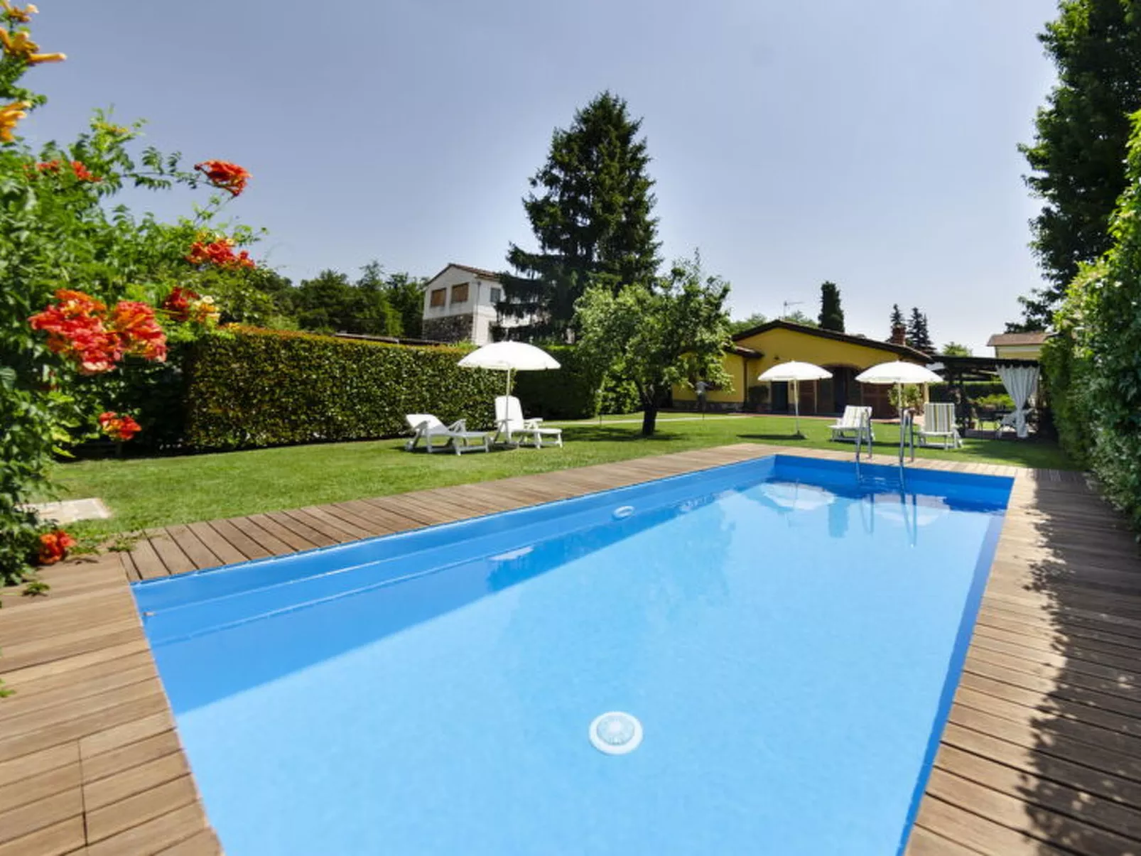 La Capannella Del Cinema