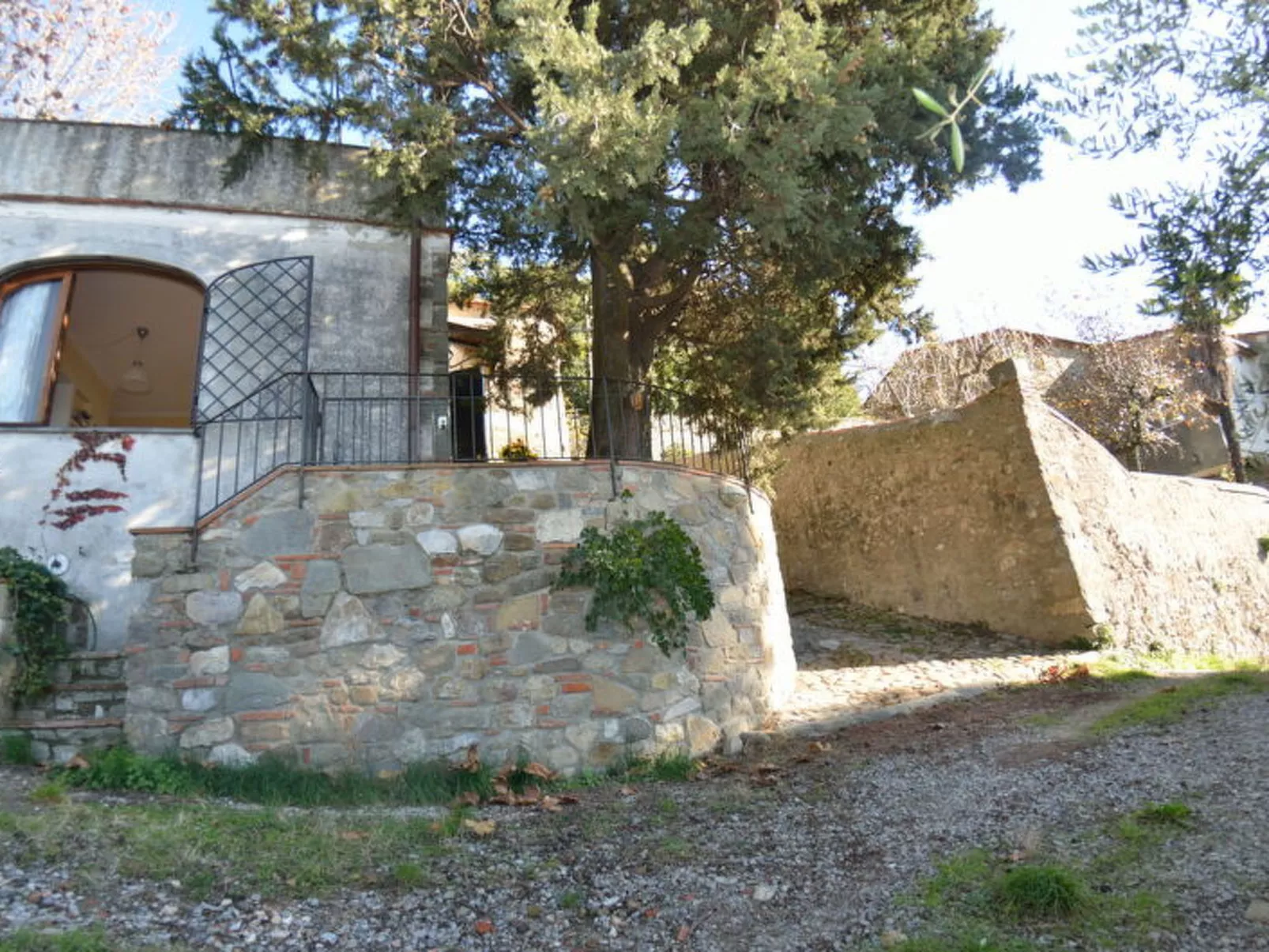 La Cipressa