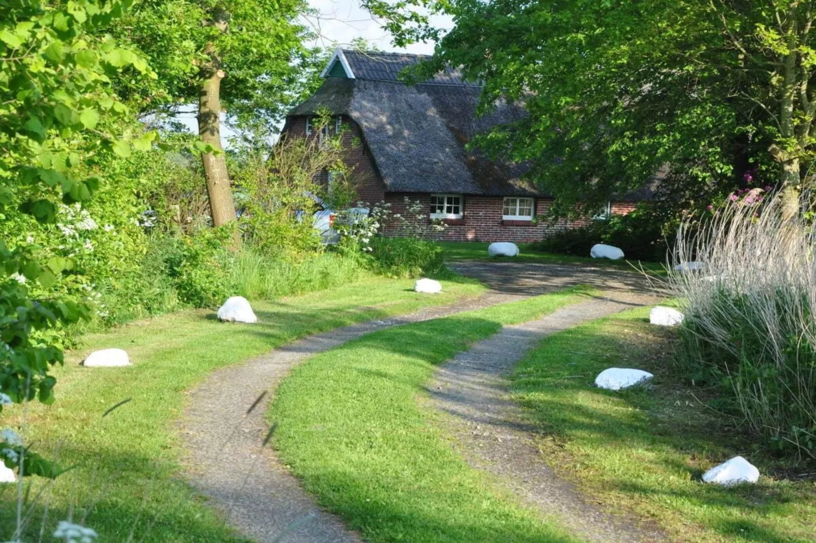 117658 - Buitenkant zomer
