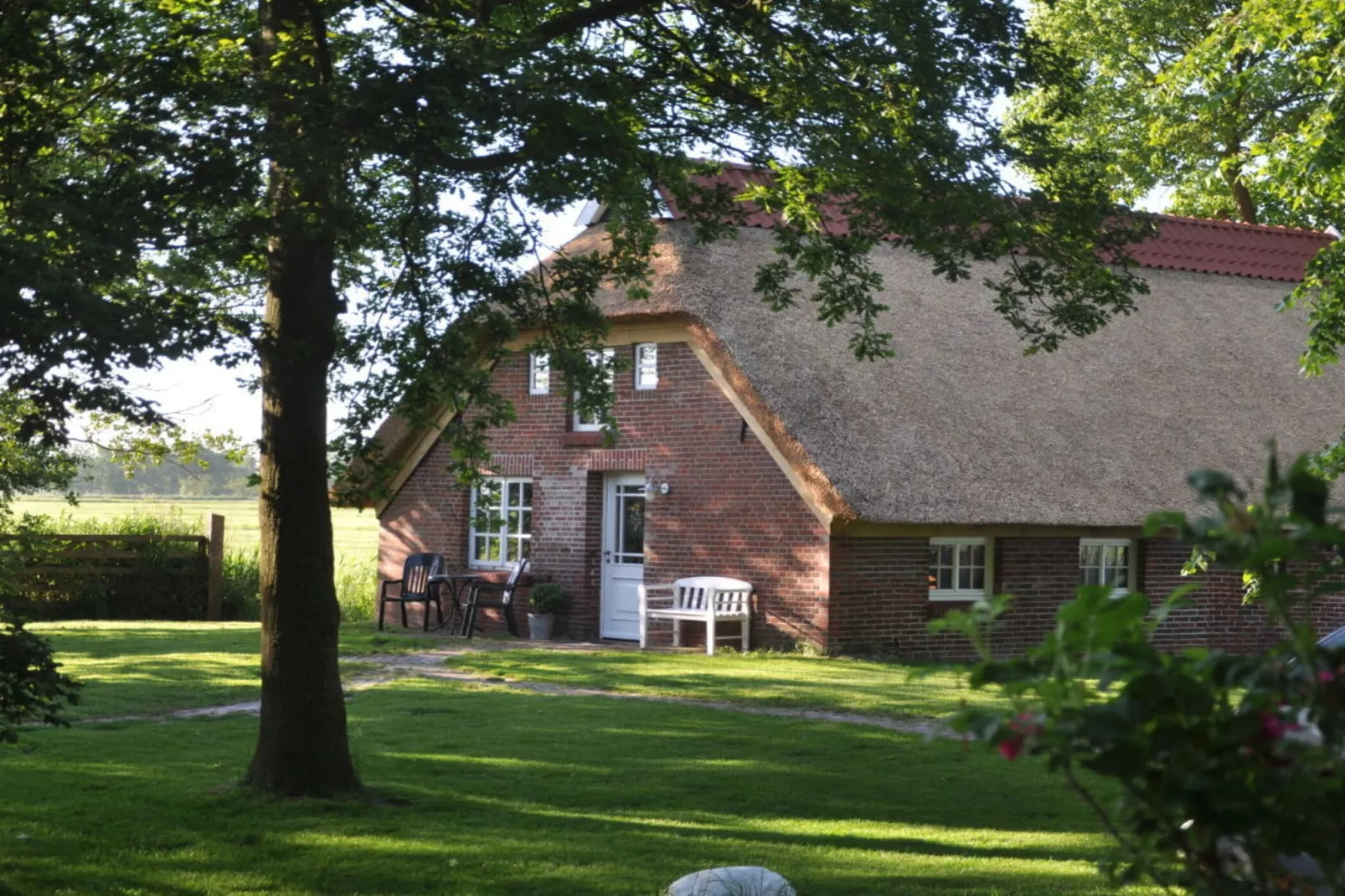 117658 - Buitenkant zomer