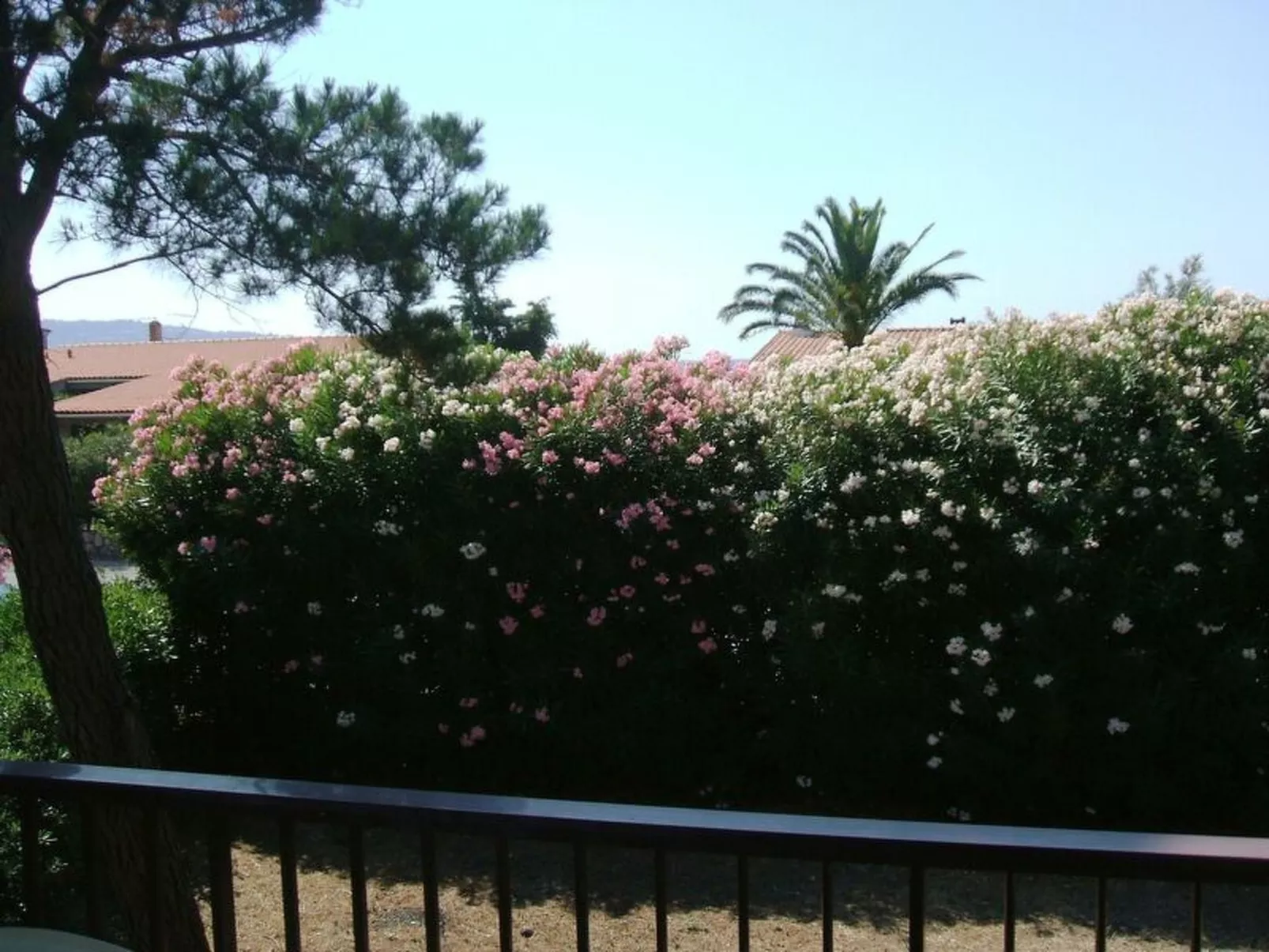 Casa Argentario - Image-tags.info