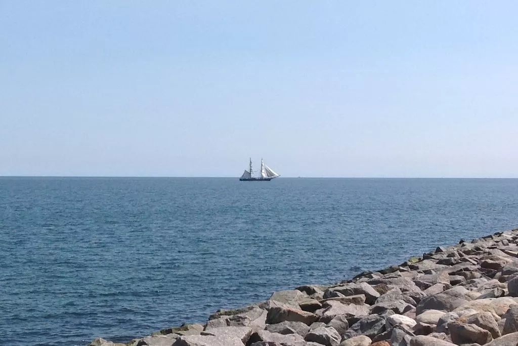 169762 - Gebieden zomer 5km