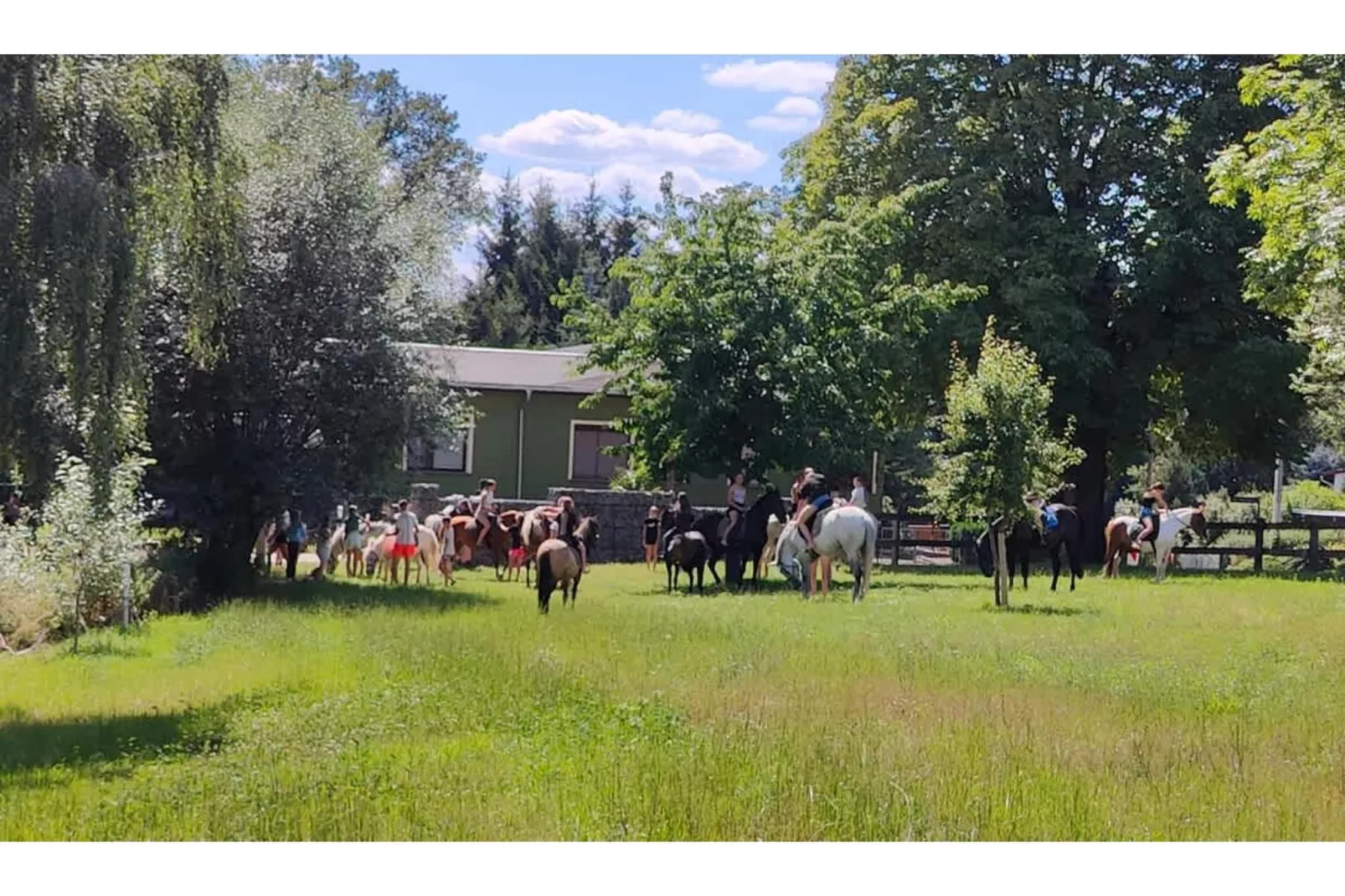 TH3 1P 40€(5) Schulz - Gebieden zomer 1km