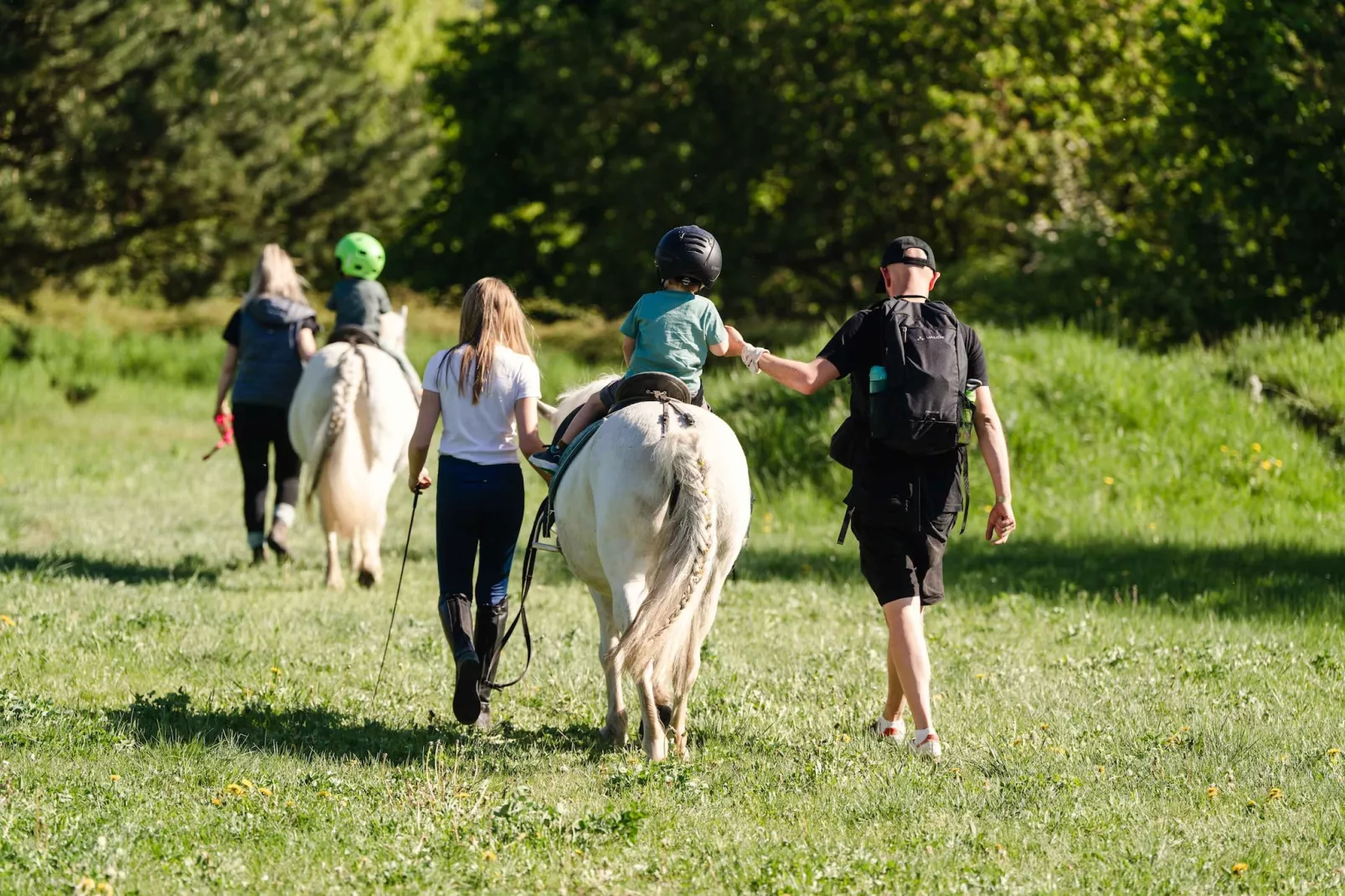 221 4P Immer - Gebieden zomer 1km