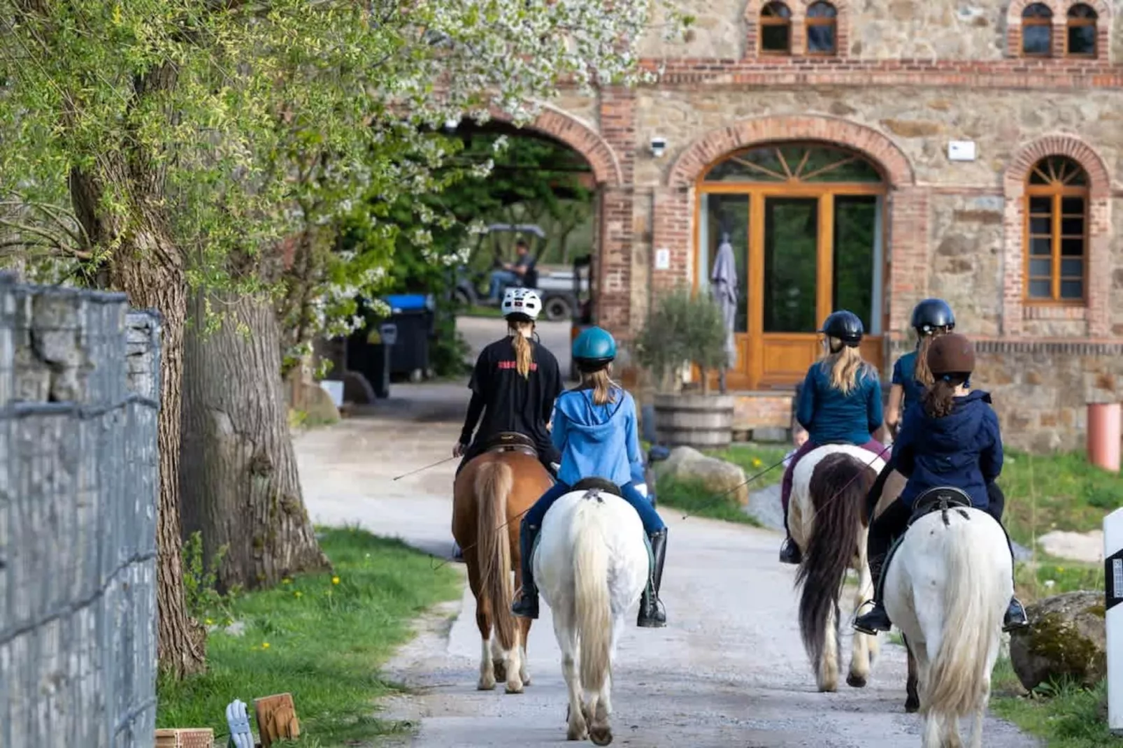 TH2 - Gebieden zomer 1km