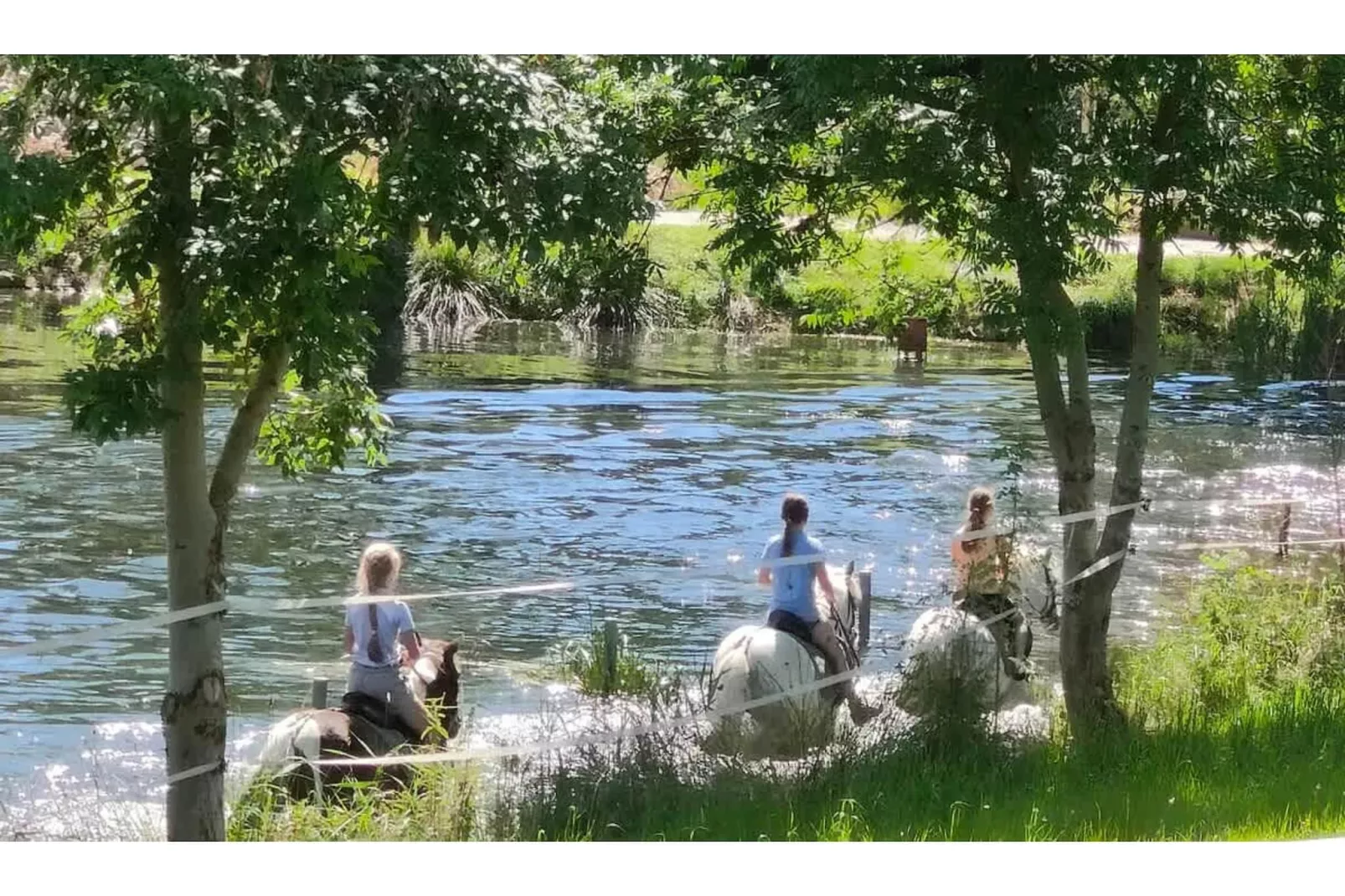 TH3 1P 40€(5) Schulz - Gebieden zomer 1km