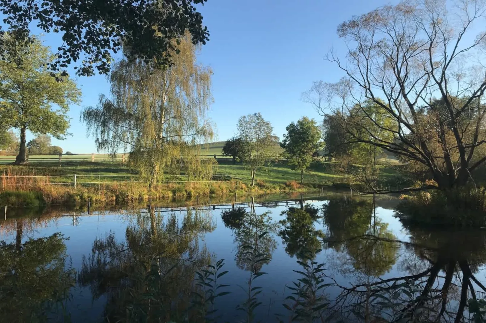 TH1 4P+20€(5) Immer - Gebieden zomer 1km